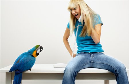 Woman Using Phone Beside Blue and Yellow Macaw Foto de stock - Con derechos protegidos, Código: 700-00678826