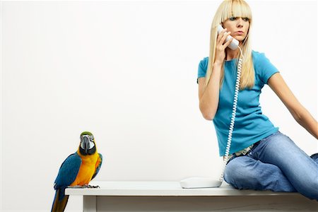 Woman Using Phone Beside Blue and Yellow Macaw Foto de stock - Con derechos protegidos, Código: 700-00678827