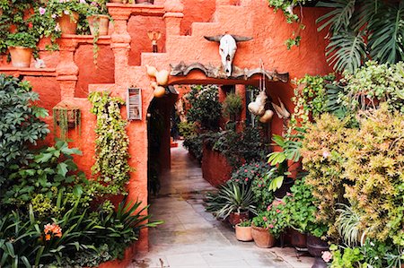 Hotel Courtyard, San Miguel de Allende, Guanajuato Province, Mexico Stock Photo - Rights-Managed, Code: 700-00711501