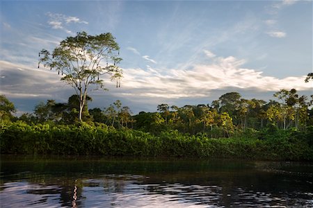 Rio Pastaza, Amazon, Équateur Photographie de stock - Rights-Managed, Code: 700-00711579