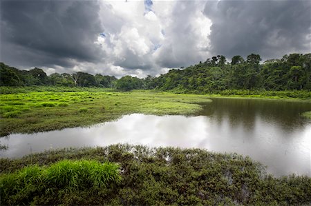 ecuadorian amazon - Rio Pastaza, Amazon, Ecuador Stock Photo - Rights-Managed, Code: 700-00711580