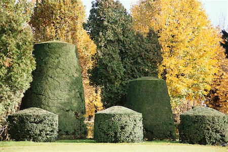 simsearch:841-02706160,k - Schoenbrunn Palace Gardens, Vienna, Austria Foto de stock - Con derechos protegidos, Código: 700-00711705