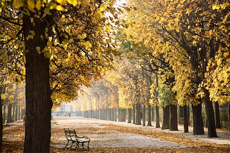 Schoenbrunn Gardens, Vienna, Austria Stock Photo - Rights-Managed, Code: 700-00711700