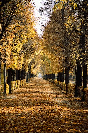 schloss schonbrunn - Schoenbrunn Palace Gardens, Vienna, Austria Foto de stock - Con derechos protegidos, Código: 700-00711702