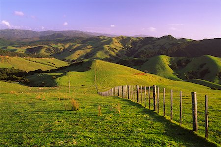 Field and Fence, Coromandel Peninsula, New Zealand Foto de stock - Con derechos protegidos, Código: 700-00747901