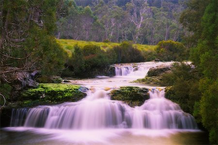 simsearch:700-00183603,k - Ruisseau, Tasmania, Australie Photographie de stock - Rights-Managed, Code: 700-00747917