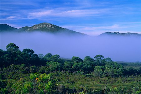 simsearch:700-03907645,k - Landscape and Fog, Tasmania, Australia Stock Photo - Rights-Managed, Code: 700-00747918