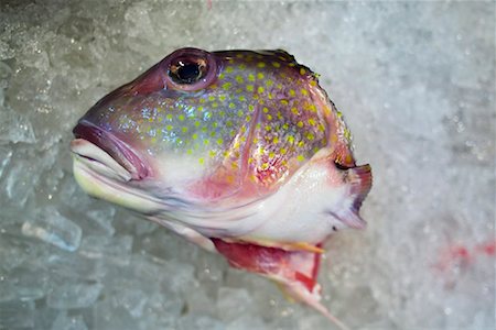 simsearch:700-02245817,k - Fish Head on Ice Stock Photo - Rights-Managed, Code: 700-00768125