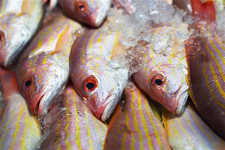 fish lying down - Fish on Ice Stock Photo - Rights-Managed, Code: 700-00768126