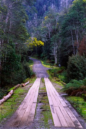 simsearch:600-01458329,k - Route à travers la forêt tropicale, vallée de Styx, Tasmania, Australie Photographie de stock - Rights-Managed, Code: 700-00795725