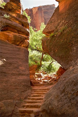 Stairway Through Canyon, Zion National Park, Utah, USA Stock Photo - Rights-Managed, Code: 700-00806689