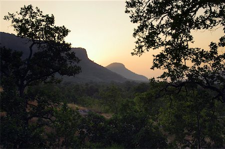 scenic madhya pradesh - Bandhavgarh National Park, Madhya Pradesh, India Stock Photo - Rights-Managed, Code: 700-00800818