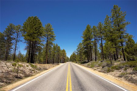 peter barrett - Road, Parc National de Bryce Canyon, Utah, USA Photographie de stock - Rights-Managed, Code: 700-00810232