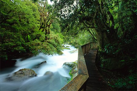 simsearch:700-02130456,k - River Through Rainforest, Fjordland National Park, South Island, New Zealand Foto de stock - Con derechos protegidos, Código: 700-00846848