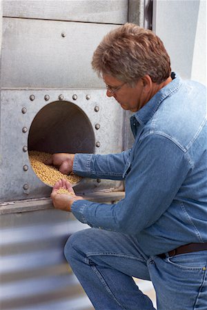 farmer canada - Farmer Inspecting Grain Stock Photo - Rights-Managed, Code: 700-00847652