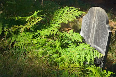 simsearch:700-00606978,k - Grave, Walhalla Historic Township, Victoria, Australia Foto de stock - Con derechos protegidos, Código: 700-00865330