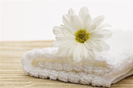 Daisy on Towel at Spa Foto de stock - Con derechos protegidos, Código: 700-00865463