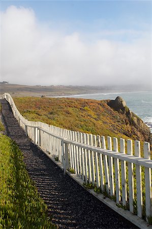 pigeon point - Coastline, Pigeon Point, California, USA Foto de stock - Con derechos protegidos, Código: 700-00865991