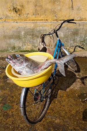 Fish in Bowl on Bicycle, Hoi An, Vietnam Stock Photo - Rights-Managed, Code: 700-00866466