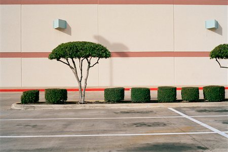 parking lot with trees - Landscaping of Parking Lot Stock Photo - Rights-Managed, Code: 700-00867118