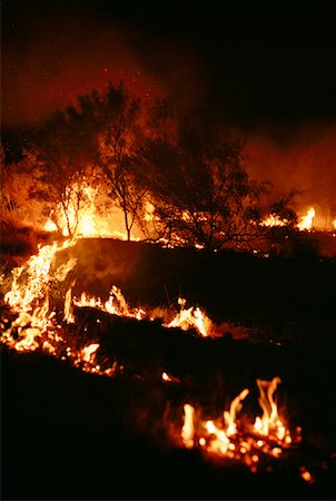 Forest Fire At Night, Outback, Australia Stock Photo - Rights-Managed, Code: 700-00897545