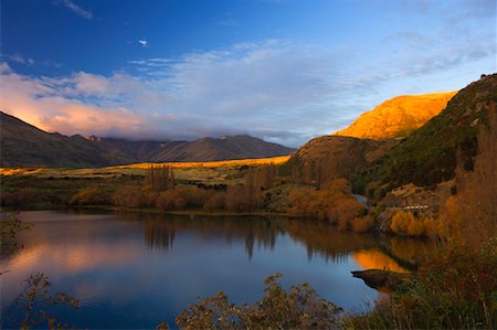 Glendhu Bay, Lake Wanaka, Wanaka, South Island, New Zealand Foto de stock - Con derechos protegidos, Código: 700-00917880