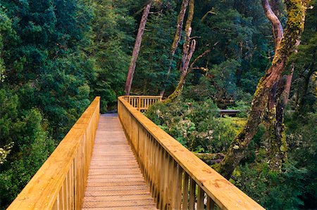 Boardwalk, Cradle Mountain Lake- St Clair National Park, Tasmania, Australia Stock Photo - Rights-Managed, Code: 700-00917899