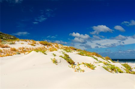 Sand Dunes, Beach, Wilsons Promontory National Park, Victoria, Australia Foto de stock - Con derechos protegidos, Código: 700-00917909
