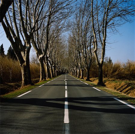 platane tree - Road, St Rémy de Provence, France Photographie de stock - Rights-Managed, Code: 700-00918509