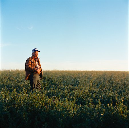 einzelgänger (männlich) - Landwirt im Feld stehen Stockbilder - Lizenzpflichtiges, Bildnummer: 700-00910116