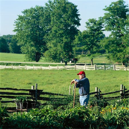 simsearch:700-00014936,k - Champ tendant Farmer Photographie de stock - Rights-Managed, Code: 700-00910124