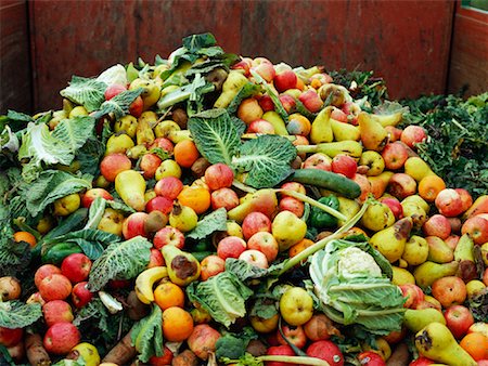 photos of vegetable garbage - Discarded Fruit and Vegetables Foto de stock - Con derechos protegidos, Código: 700-00934469