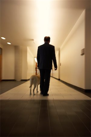 disability office - Blind Man With Guide Dog Stock Photo - Rights-Managed, Code: 700-00947826