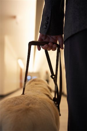 Blind Man With Guide Dog Stock Photo - Rights-Managed, Code: 700-00947827