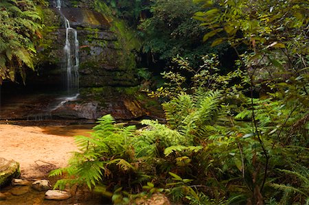 Pool of Siloam, Leura, The Blue Mountains, New South Wales, Australia Foto de stock - Con derechos protegidos, Código: 700-01014754