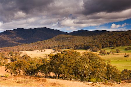 Pasture, Kosciuszko National Park New South Wales, Australia Foto de stock - Direito Controlado, Número: 700-01014773