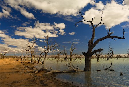 dramatic landscape in australia - Lake Pamamaroo, Menindee, New South Wales, Australia Stock Photo - Rights-Managed, Code: 700-01014790