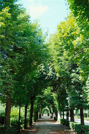 schloss schonbrunn - Jardins de Schönbrunn, Vienne, Autriche Photographie de stock - Rights-Managed, Code: 700-01030344