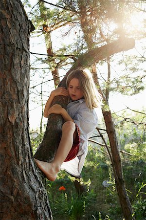 Boy Climbing Tree Stock Photo - Rights-Managed, Code: 700-01042599