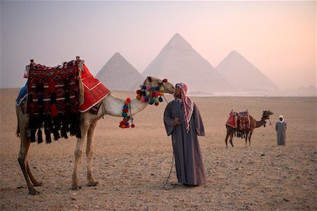 simsearch:700-08416835,k - Men Leading Camels in the Desert, Giza Pyramids, Giza, Egypt Stock Photo - Rights-Managed, Code: 700-01043616