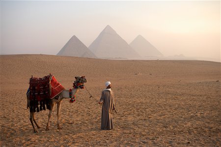 Homme tête de chameau dans le désert, les pyramides de Giza, Giza, Égypte Photographie de stock - Rights-Managed, Code: 700-01043620