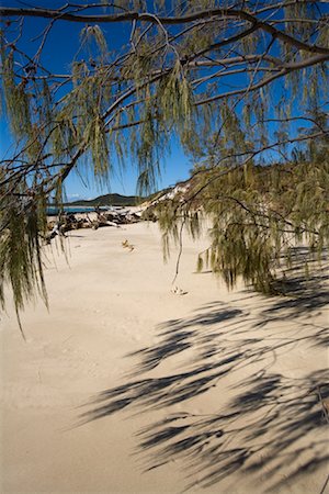 Moreton Island, Queensland, Australia Foto de stock - Con derechos protegidos, Código: 700-01072507