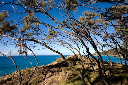 Scenic, Moreton Island, Queensland, Australia Foto de stock - Con derechos protegidos, Código: 700-01072510