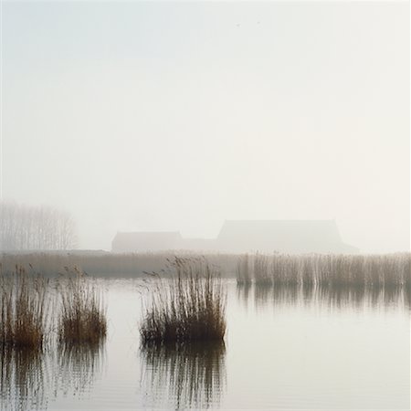 Farm Scene in Winter Fog Foto de stock - Con derechos protegidos, Código: 700-01072732