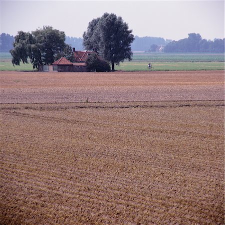 Field with Farmhouse and Cyclist in the Distance, Schuddebeurs, Netherlands Stock Photo - Rights-Managed, Code: 700-01072750