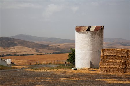 simsearch:649-06401246,k - Silo on Farmland, Malmesbury, South Africa Foto de stock - Con derechos protegidos, Código: 700-01072791