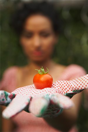 simsearch:700-01073642,k - Cherry Tomato in Woman's Hand Stock Photo - Rights-Managed, Code: 700-01073650