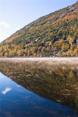 Acadia National Park, Mount Desert Island, Maine, USA Foto de stock - Con derechos protegidos, Código: 700-01083809