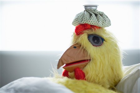 sick ice pack - Sick Chicken Stock Photo - Rights-Managed, Code: 700-01110104