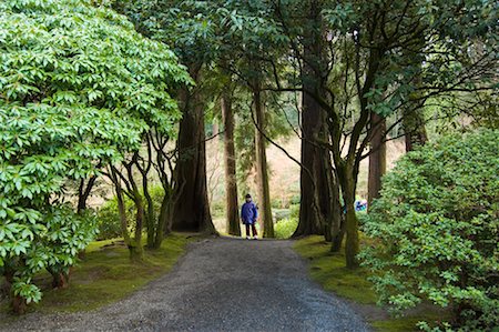 portland oregon the garden - Girl Standing on Path in Japanese Garden, Portland, Oregon, USA Stock Photo - Rights-Managed, Code: 700-01111719